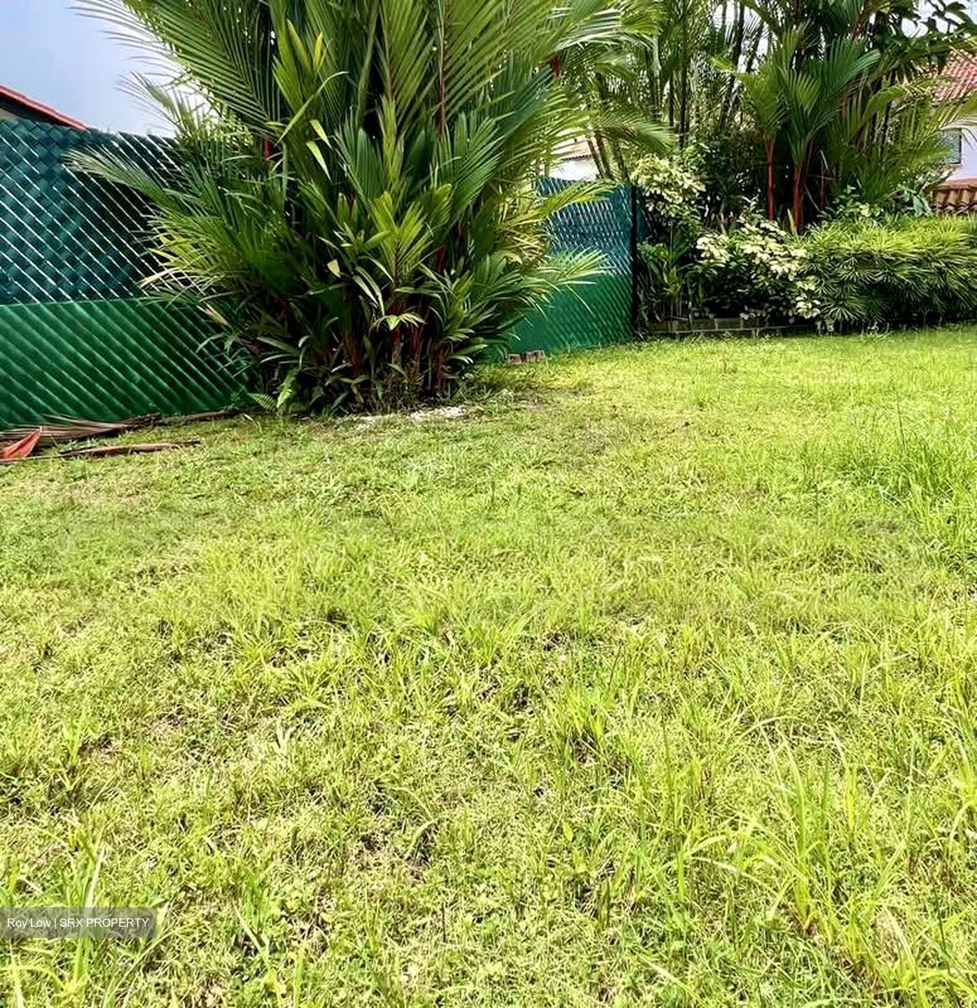 Raffles Park (D11), Detached #610247431